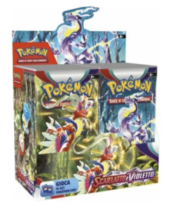 Display 36 Buste Scarlatto e violetto